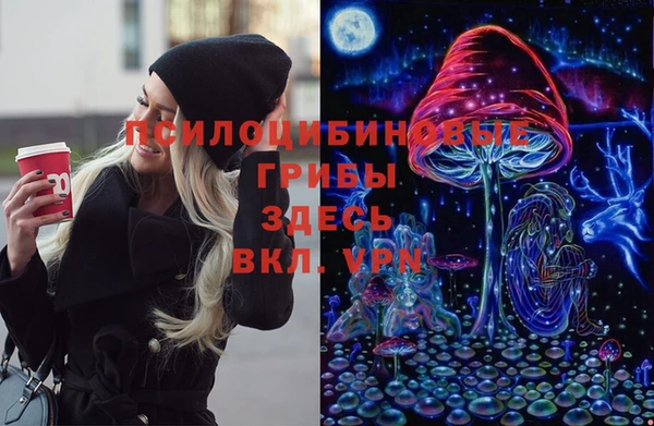 прущие грибы Елизово