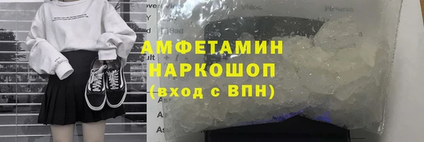 прущие грибы Елизово