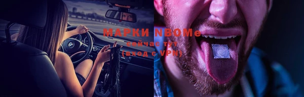 прущие грибы Елизово