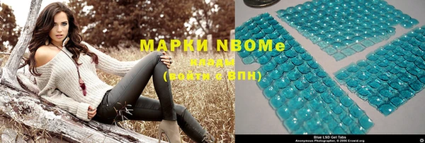 прущие грибы Елизово