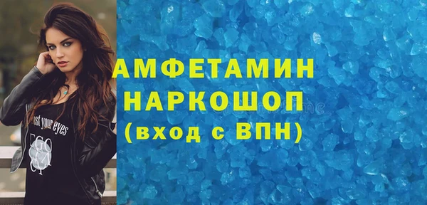 прущие грибы Елизово