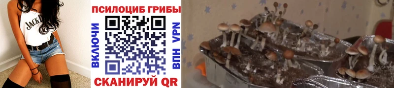 Галлюциногенные грибы ЛСД Мурино